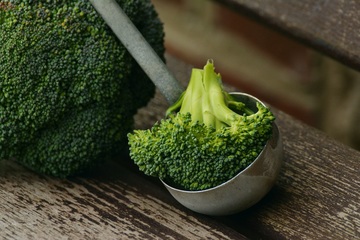 Broccoli al gratin