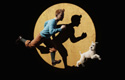 Tintin_home01