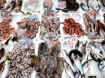 Pesce: come riconoscere quando è fresco - Ricette e alimentazione -  Bambinopoli